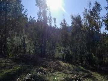 Parcela en venta en CURICÓ