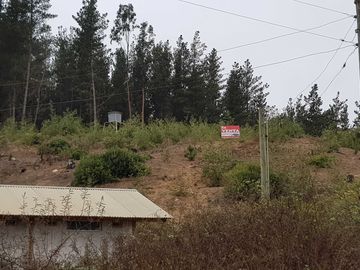 Parcela en venta en VICHUQUÉN