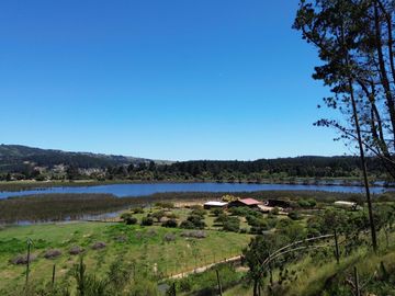 Casa en venta en VICHUQUÉN