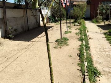 Casa en Venta en Maturana / Liceo Tecnico Maria Graham