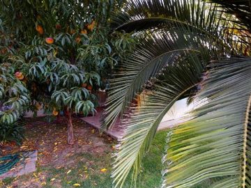 SE VENDE CASA - CONDOMINIO EL GOLF RINCONADA