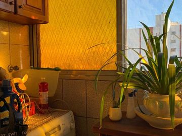 Departamento - Wilde