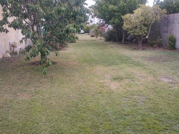 Casa y terreno en venta - 3 dormitorios 2 baños - 800 mts2 - Comandante Nicanor Otamendi