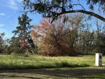 Terreno en venta - 1.527Mts2 - Los Pinos, Exaltación de la Cruz