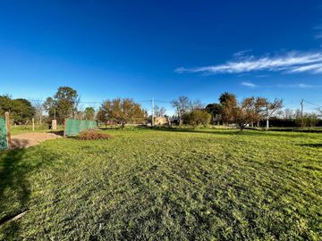 Terreno de 550 m2 en Luis Palacios