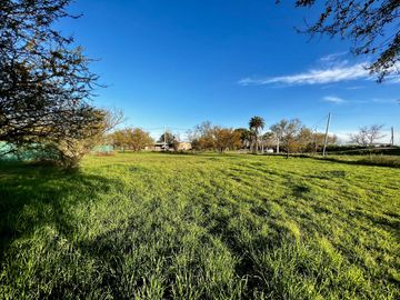 Terreno de 550 m2 en Luis Palacios