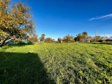 Terreno de 550 m2 en Luis Palacios