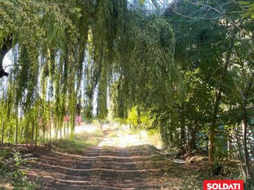 Venta de chacra en China Muerta Plottier, Neuquén. Casa quinta. 1.5 has.
