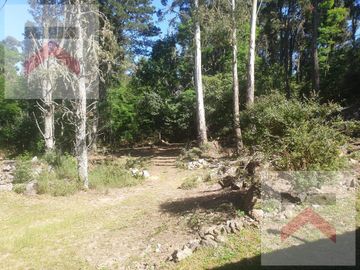 Finca de 3 hectareas con dos cabañas, ESCRITURABLE. Villa Berna, Córdoba.