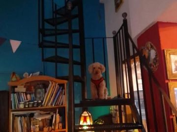 PH en venta - 4 dormitorios 1 baño - terraza - 130 mts2 - Palermo