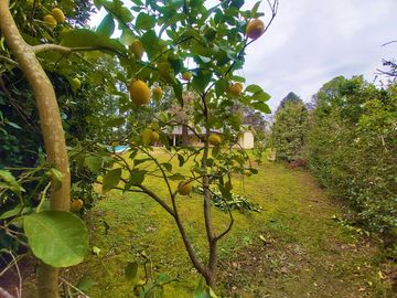 Hermosa Casa Quinta En Venta ¡3.000 m2 de terreno! Barrio Parque Exaltación