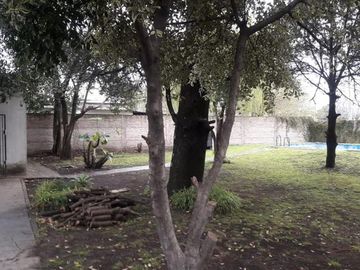 Quinta - Claypole