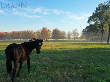 Casa en Manzanares | Mallmann propiedades