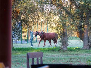 Casa en Manzanares | Mallmann propiedades