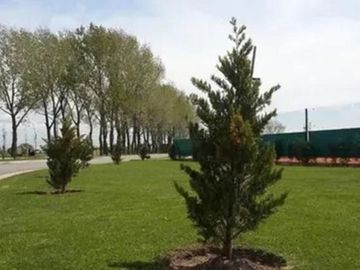 Departamento 2 Amb (117.80 m2) Complejo Terrazas De La Alameda-Canning