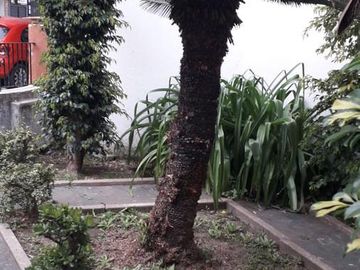 Casa - Lanús Este