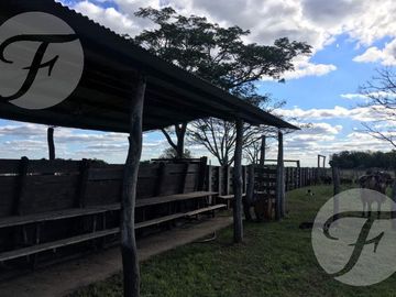 Corrientes I Campo 4168 ha