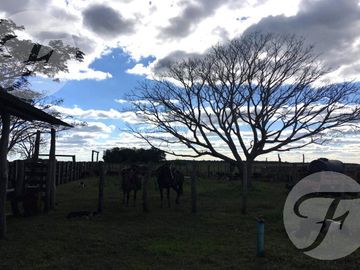 Corrientes I Campo 4168 ha