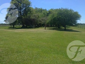 Corrientes I Campo 4168 ha