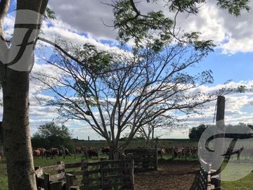Corrientes I Campo 4168 ha