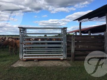 Corrientes I Campo 4168 ha