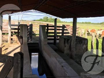 Corrientes I Campo 4168 ha