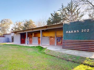 Quinta en venta en La Plata - Dacal Bienes Raíces