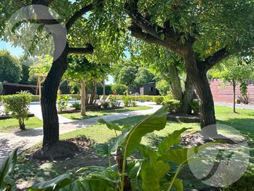 Venta de Casa, Restaurante  y Panaderia en Vuelta de Obligado | San Pedro (Ba)
