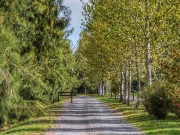 Casa en venta - 3 Dormitorios 2 Baños - Cocheras - 1.000Mts2 - Coronel Brandsen