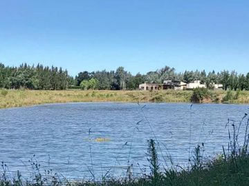 Casa en venta - 3 Dormitorios 2 Baños - Cocheras - 1.000Mts2 - Coronel Brandsen
