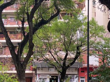 Departamento - Caballito Norte