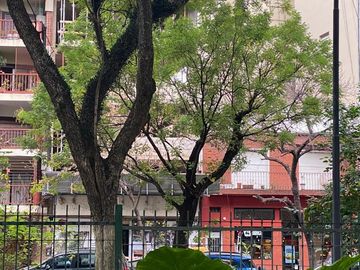 Departamento - Caballito Norte