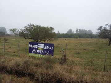 Chacra - Uruguay