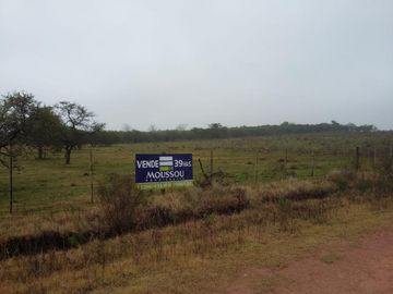 Chacra - Uruguay