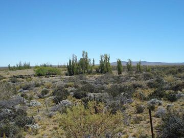 Campo - Prov. Santa Cruz