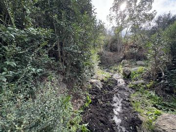 Cabaña en venta con bajada al rio
