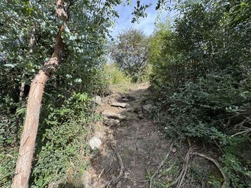 Cabaña en venta con bajada al rio