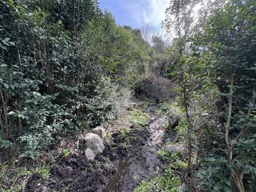 Cabaña en venta con bajada al rio