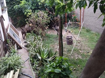 Casa en venta - 3 dormitorios 2 baños 2 locales - Cochera - 300mts2 - San Carlos, La Plata