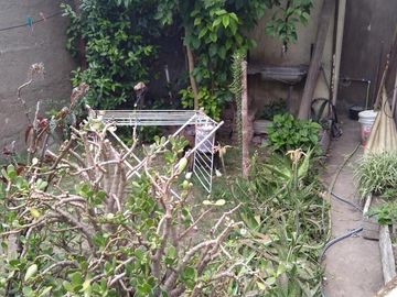 Casa en venta - 3 dormitorios 2 baños 2 locales - Cochera - 300mts2 - San Carlos, La Plata