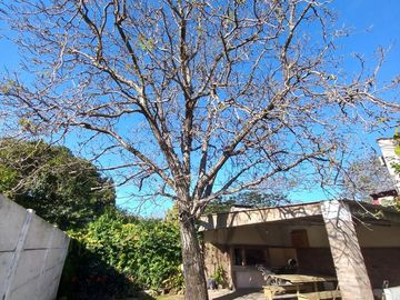 Casa en venta - 3 Dormitorios 2 Baños - Cochera - 289Mts2 - Florencio Varela