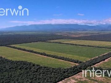 Campo de 838 has en El Acheral - San Pedro - Pcia. de Jujuy