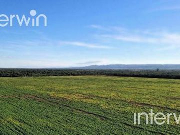 Campo de 838 has en El Acheral - San Pedro - Pcia. de Jujuy