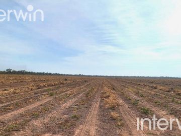 Campo de 838 has en El Acheral - San Pedro - Pcia. de Jujuy
