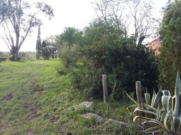 Chacra - Gualeguaychu