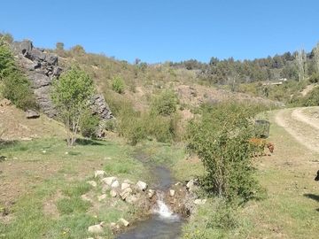 Venta de Chacra Orilla Lago Pelegrini (Cholila)