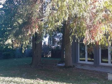 Casa en Venta en 409/132bis y 134 La Elisa - Alberto Dacal Propiedades