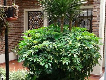 VENTA PH  4 AMB 150 M2 PARRILLA QUINCHO VALENTIN ALSINA LANUS