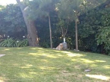 Casa - Golf Viejo
