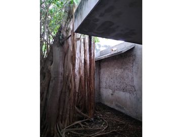 Venta Casa Centro Parque Santiago Mérida